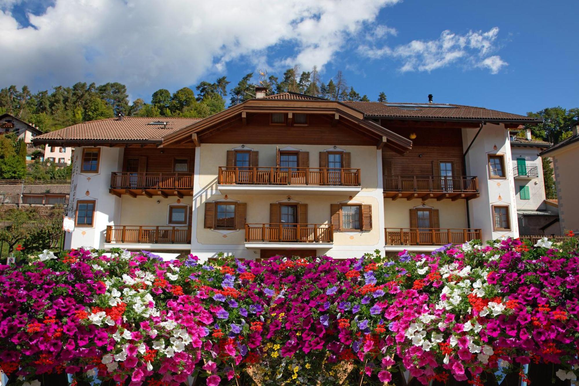 Hotel Garni Manuela Cavalese Esterno foto